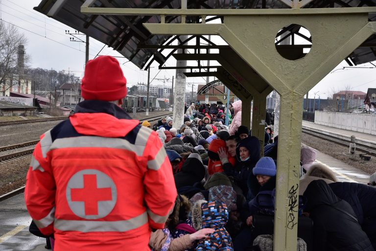 Ukraine Response and Red Cross views on the implementation of the TPD