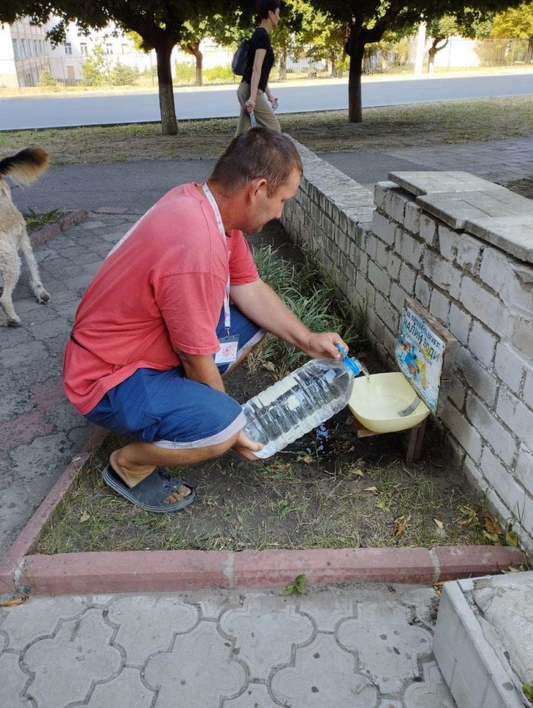 In Kupiansk, we support stray animals during the heatwave