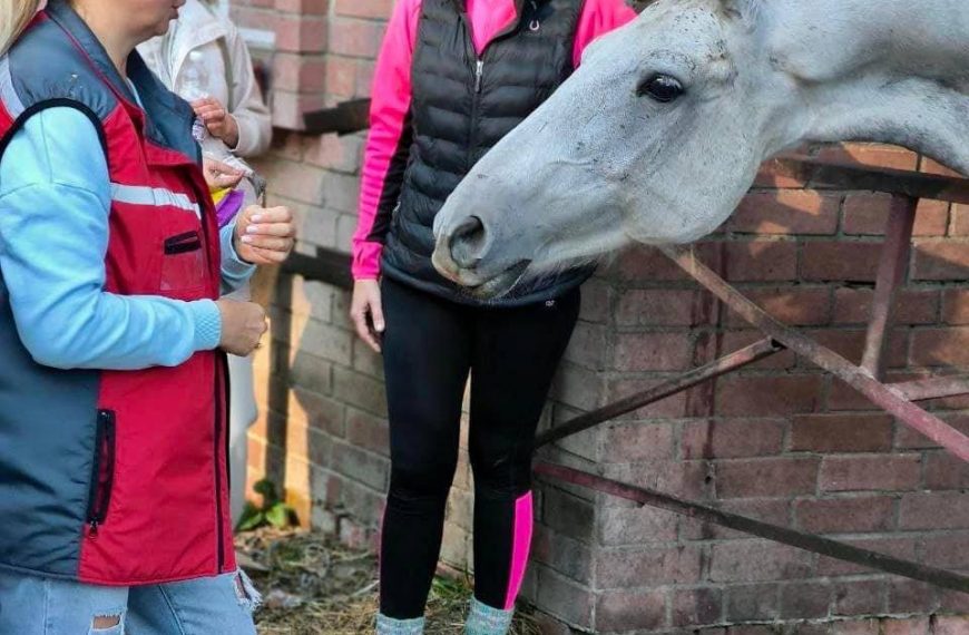 На Чернігівщині для родин, рідні яких зникли безвісти, організували виїзний захід до&hellip;