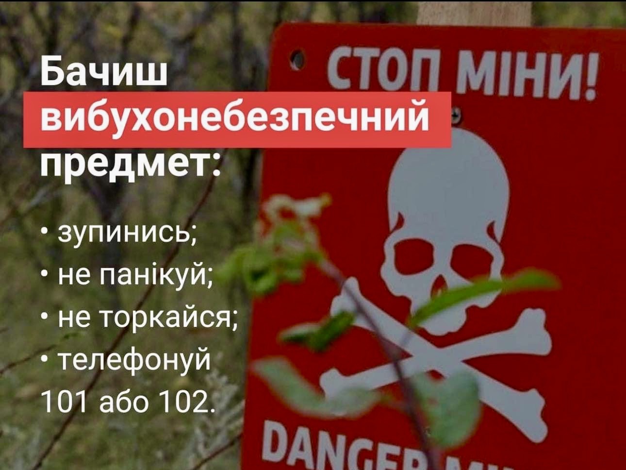 На Херсонщині провели урок з мінної небезпеки для дітей молодших класів