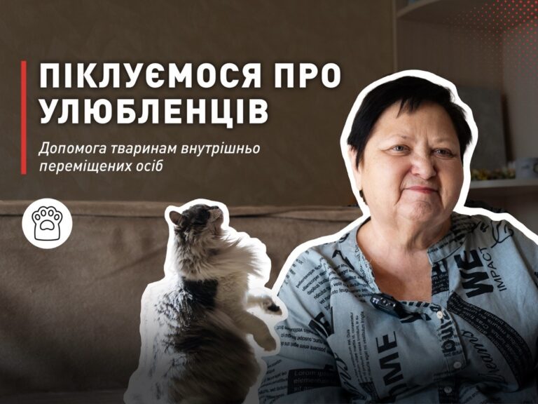 Відео: піклуємося про улюбленців