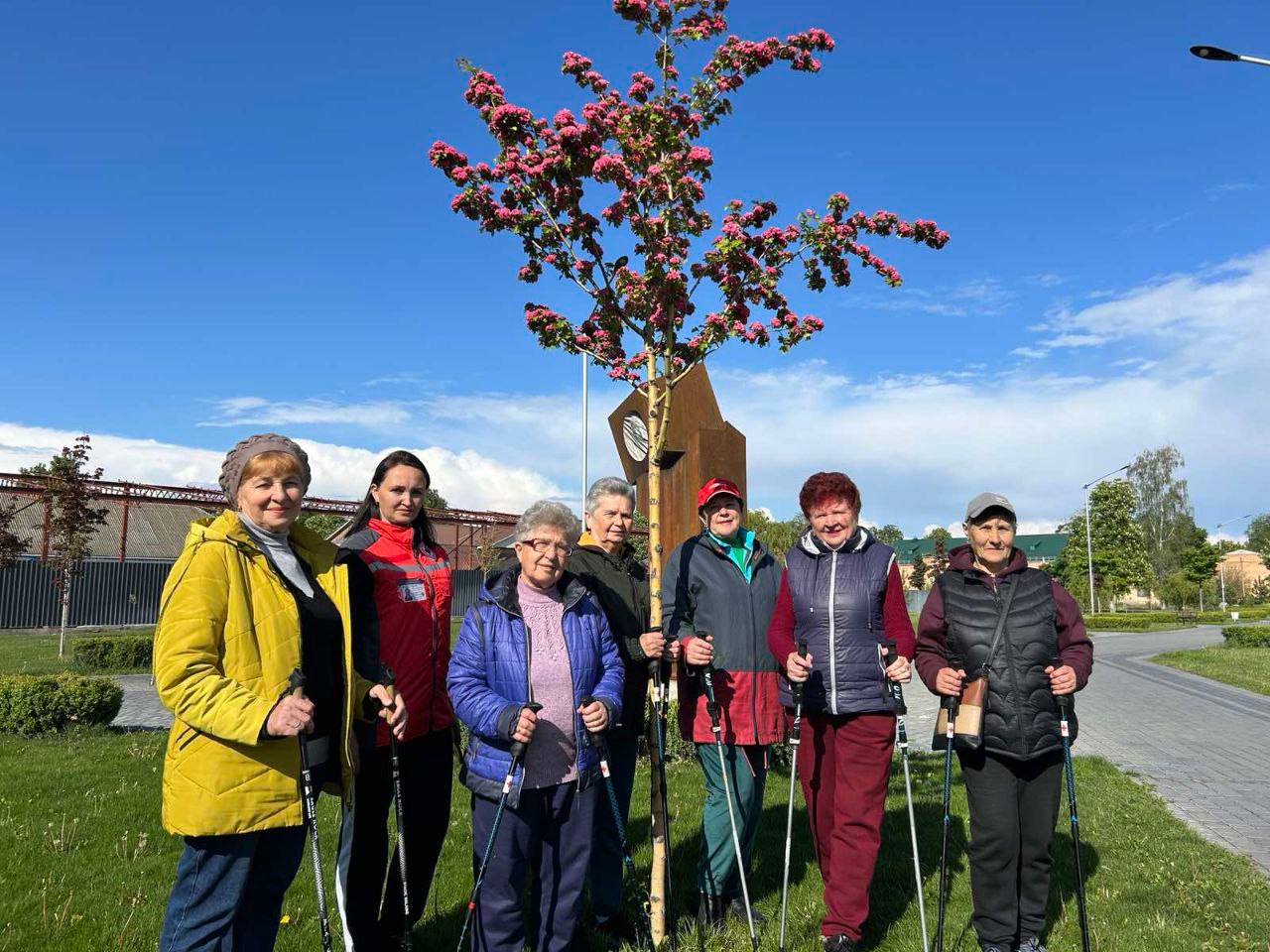 photo_5307998958863380490_y