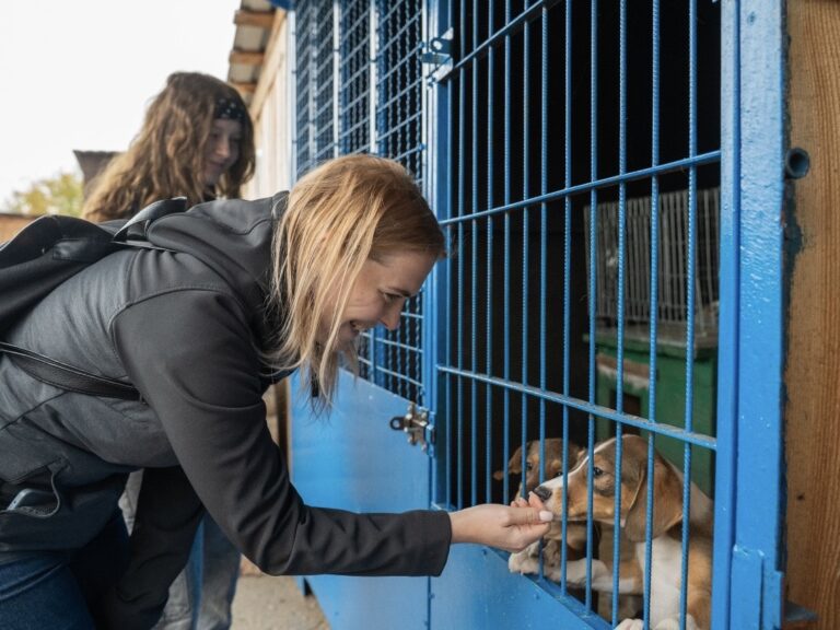 Український Червоний Хрест та Humane World for Animals підтримують тварин із прифронтових регіонів