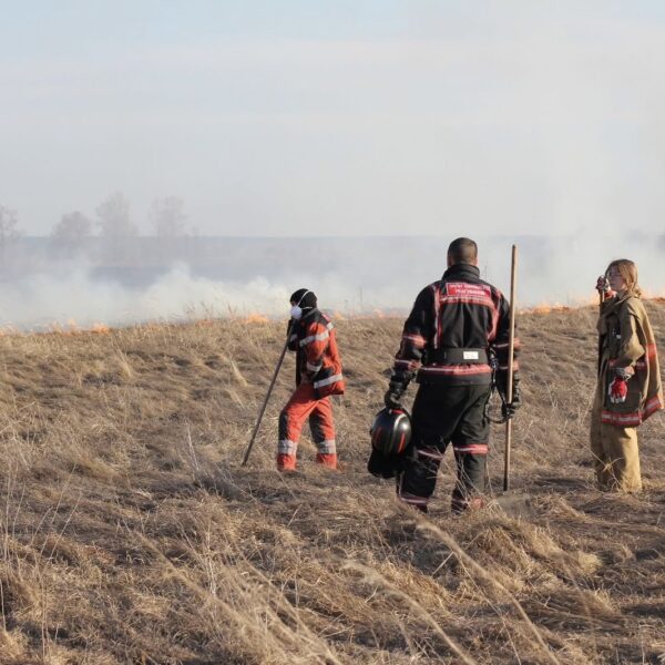 Загони швидкого реагування Українського Червоного Хреста долучилися до ліквідації пожежі в екосистемі на Київщині
