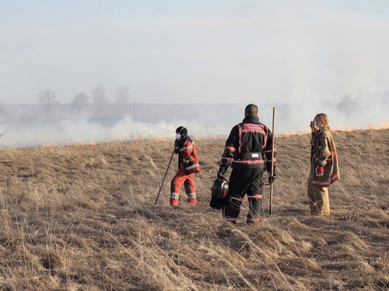 Загони швидкого реагування Українського Червоного Хреста долучилися до ліквідації пожежі в екосистемі на Київщині