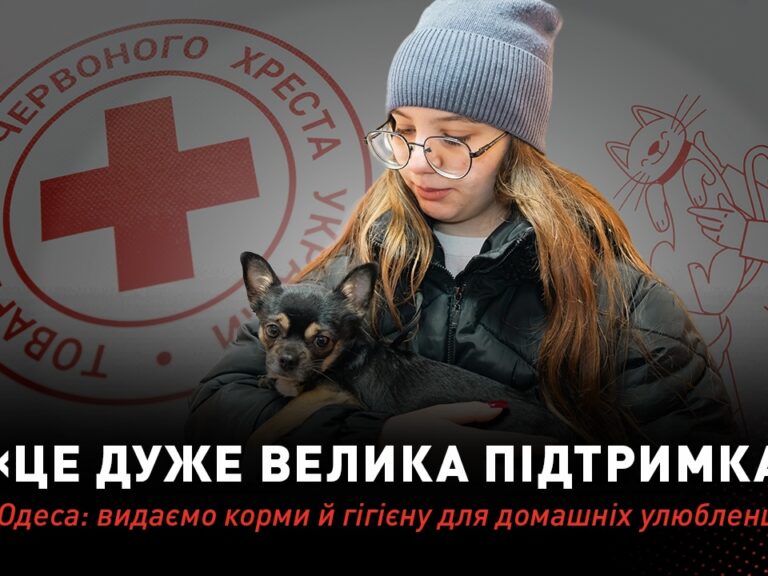 Те, що нас обʼєднує у такі темні часи: підтримка тварин ВПО