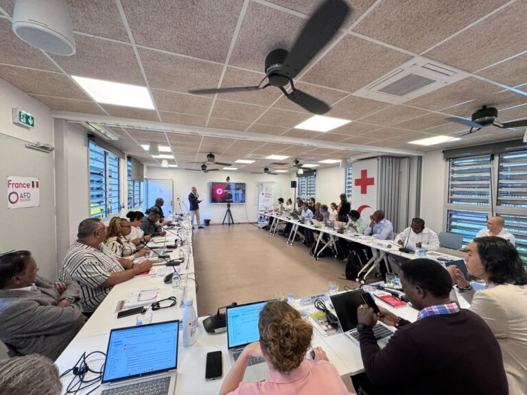 Ukrainian Red Cross Shares Experience in Emergency Response During Wartime at International Workshop